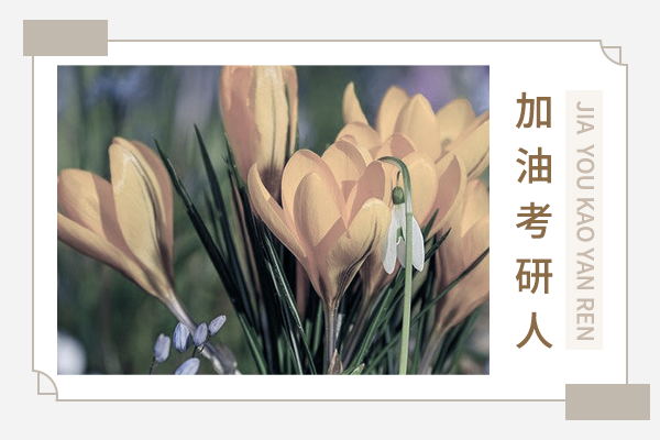2023考研：廣播電視專業(yè)考研院校推薦及招收詳情