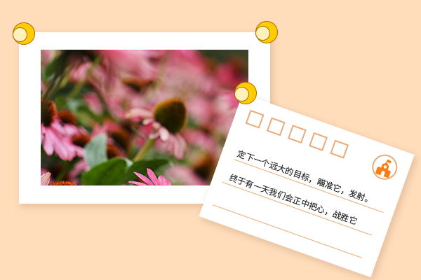 2021青島農(nóng)業(yè)大學(xué)微生物學(xué)專業(yè)還有調(diào)劑名額嗎?