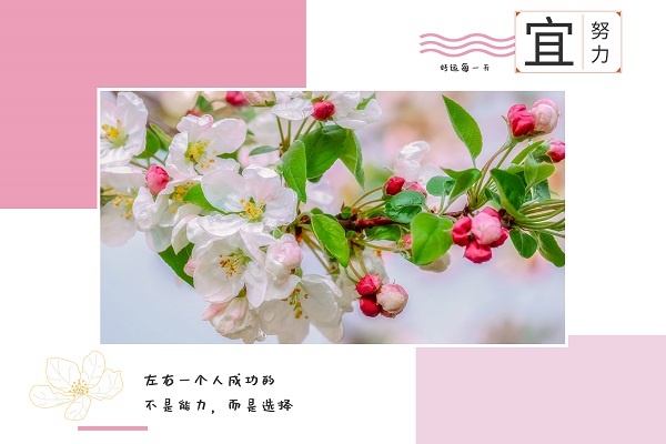 南京師范大學(xué)考研輔導(dǎo)班：英語口譯考研難嗎?