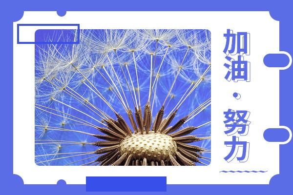 北京師范大學(xué)考研輔導(dǎo)班：黨的建設(shè)考研難不？