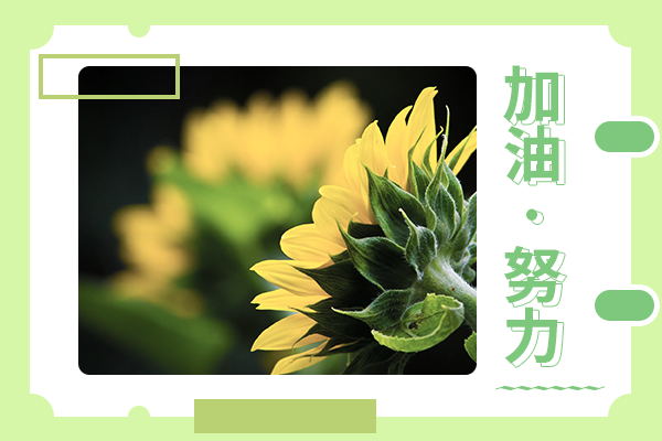 東北大學考研輔導班：物流工程考研難度大不大？
