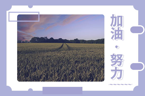 廈門大學考研輔導班：戲劇與影視學考研難不難？