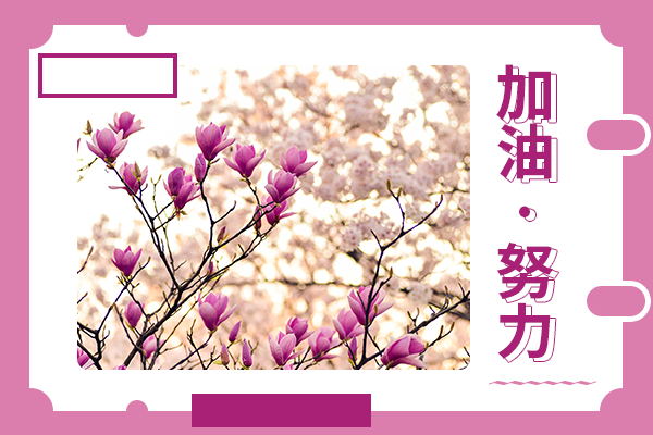 湖南大學(xué)考研輔導(dǎo)班：公共管理考研好不好考？
