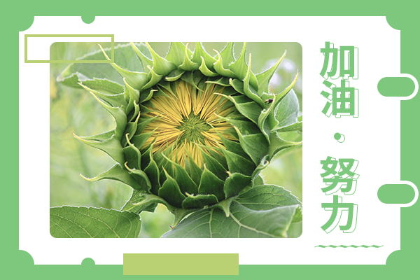 西安交通大學考研輔導班：藥物分析學考研難度大不大？
