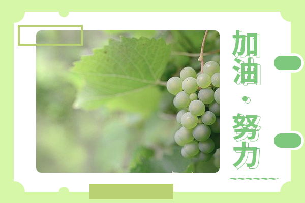 西安交通大學(xué)考研輔導(dǎo)班：思想政治教育考研考什么？