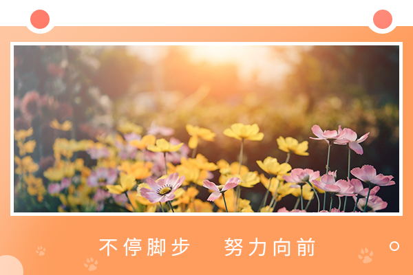 中山大學(xué)生物學(xué)初試高分學(xué)姐復(fù)試上岸經(jīng)驗分享!